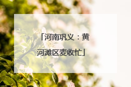 河南巩义：黄河滩区麦收忙