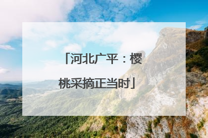 河北广平：樱桃采摘正当时