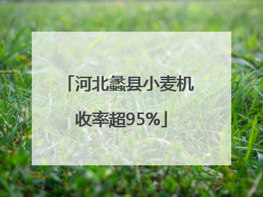 河北蠡县小麦机收率超95%