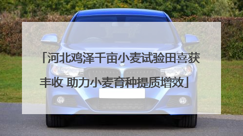 河北鸡泽千亩小麦试验田喜获丰收 助力小麦育种提质增效