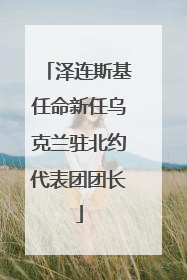 泽连斯基任命新任乌克兰驻北约代表团团长