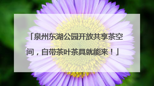 泉州东湖公园开放共享茶空间，自带茶叶茶具就能来！