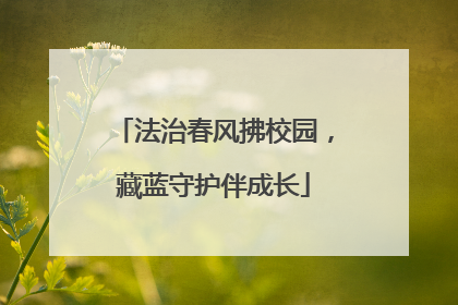 法治春风拂校园，藏蓝守护伴成长