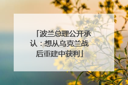 波兰总理公开承认：想从乌克兰战后重建中获利
