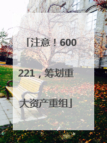 注意！600221，筹划重大资产重组