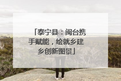泰宁县：闽台携手赋能，绘就乡建乡创新图景