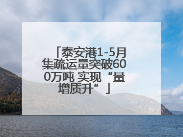 泰安港1-5月集疏运量突破600万吨 实现“量增质升”