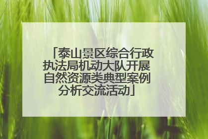 泰山景区综合行政执法局机动大队开展自然资源类典型案例分析交流活动