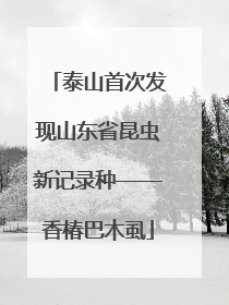 泰山首次发现山东省昆虫新记录种——香椿巴木虱