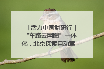 活力中国调研行｜“车路云网图”一体化，北京探索自动驾驶“加速度”