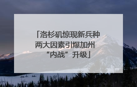 洛杉矶惊现新兵种 两大因素引爆加州“内战”升级