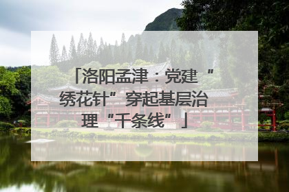 洛阳孟津：党建“绣花针”穿起基层治理“千条线”