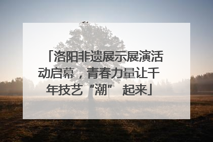 洛阳非遗展示展演活动启幕，青春力量让千年技艺“潮” 起来