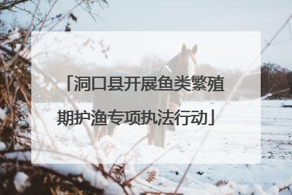 洞口县开展鱼类繁殖期护渔专项执法行动