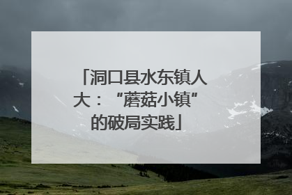 洞口县水东镇人大：“蘑菇小镇”的破局实践