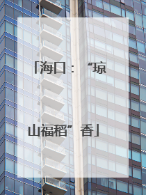 海口：“琼山福稻”香