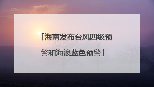 海南发布台风四级预警和海浪蓝色预警