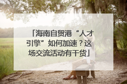 海南自贸港“人才引擎”如何加速？这场交流活动有干货