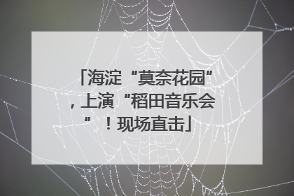 海淀“莫奈花园”，上演“稻田音乐会”！现场直击