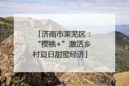 济南市莱芜区：“樱桃+”激活乡村夏日甜蜜经济