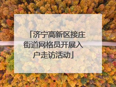 济宁高新区接庄街道网格员开展入户走访活动