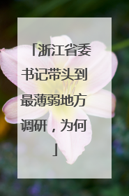 浙江省委书记带头到最薄弱地方调研，为何