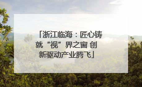 浙江临海：匠心铸就“视”界之窗 创新驱动产业腾飞