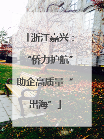 浙江嘉兴：“侨力护航”助企高质量“出海”