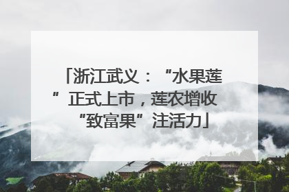浙江武义：“水果莲”正式上市，莲农增收“致富果”注活力