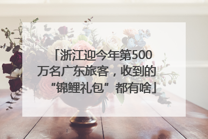 浙江迎今年第500万名广东旅客，收到的“锦鲤礼包”都有啥