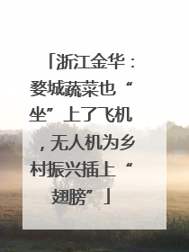 浙江金华：婺城蔬菜也“坐”上了飞机，无人机为乡村振兴插上“翅膀”