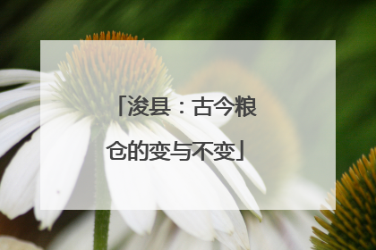 浚县：古今粮仓的变与不变