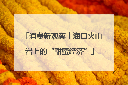 消费新观察丨海口火山岩上的“甜蜜经济”