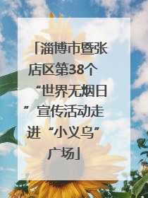 淄博市暨张店区第38个“世界无烟日”宣传活动走进“小义乌”广场