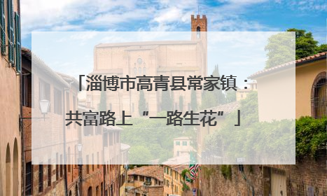 淄博市高青县常家镇：共富路上“一路生花”
