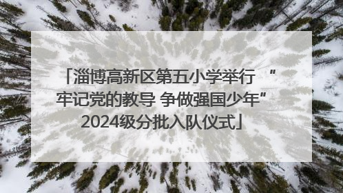 淄博高新区第五小学举行 “牢记党的教导 争做强国少年”2024级分批入队仪式