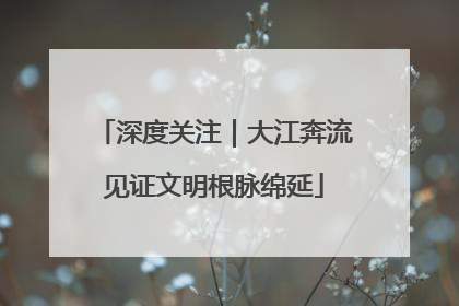 深度关注｜大江奔流见证文明根脉绵延