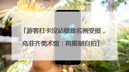 游客打卡没站稳致名画受损，乌菲齐美术馆：将限制自拍