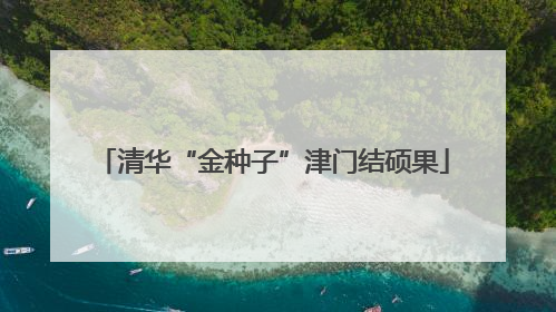 清华“金种子”津门结硕果