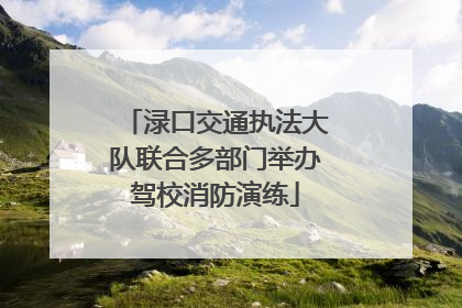 渌口交通执法大队联合多部门举办驾校消防演练