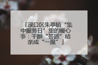 渌口区朱亭镇“集中服务日”里的暖心事：干群“答题”结亲成“一屋”