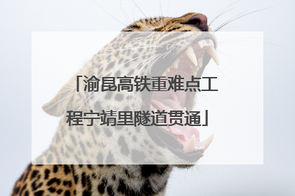 渝昆高铁重难点工程宁靖里隧道贯通