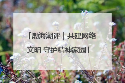 渤海潮评｜共建网络文明 守护精神家园
