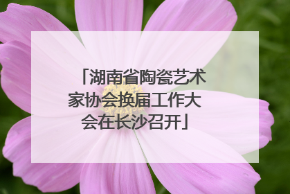 湖南省陶瓷艺术家协会换届工作大会在长沙召开