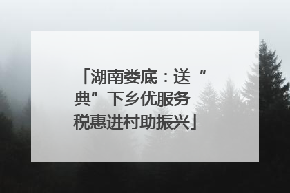 湖南娄底：送“典”下乡优服务 税惠进村助振兴