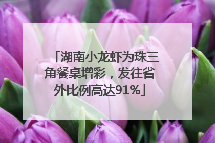 湖南小龙虾为珠三角餐桌增彩，发往省外比例高达91%