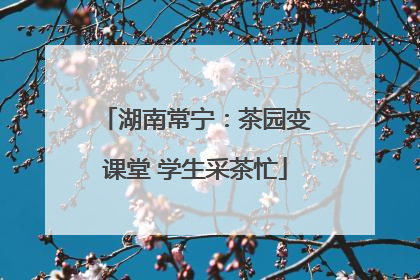 湖南常宁：茶园变课堂 学生采茶忙