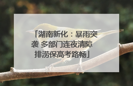湖南新化：暴雨突袭 多部门连夜清障排涝保高考路畅