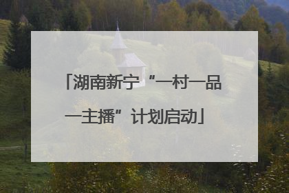 湖南新宁“一村一品一主播”计划启动