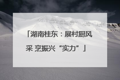 湖南桂东：展村厨风采 烹振兴“实力”